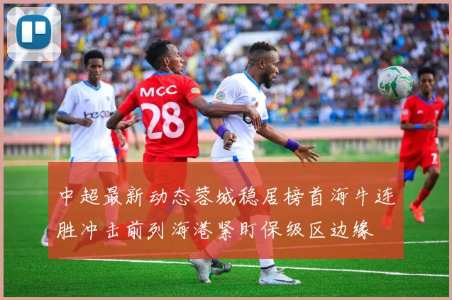中超最新动态蓉城稳居榜首海牛连胜冲击前列海港紧盯保级区边缘