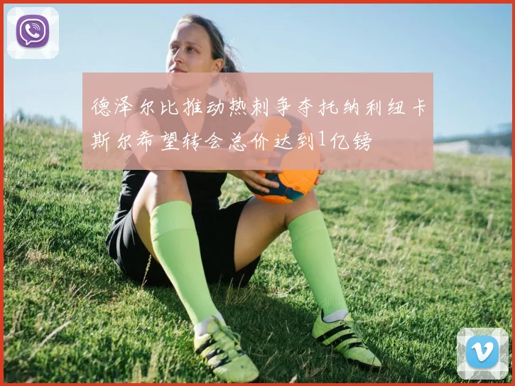 德泽尔比推动热刺争夺托纳利纽卡斯尔希望转会总价达到1亿镑